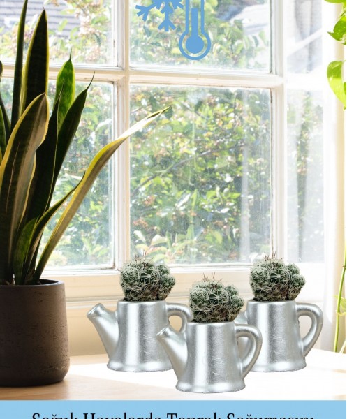 Mini Çiçek Saksı Küçük Sukulent Gümüş Kaktüs Saksısı 3lü Set Mini Çaydanlık Model